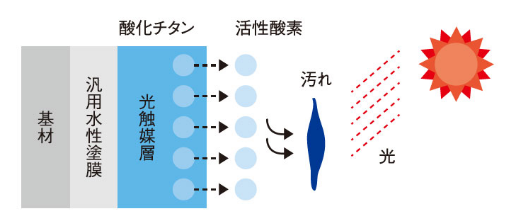 外壁面の拡大図