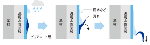 外壁面の拡大図